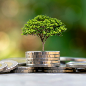 investissements euros argent arbre